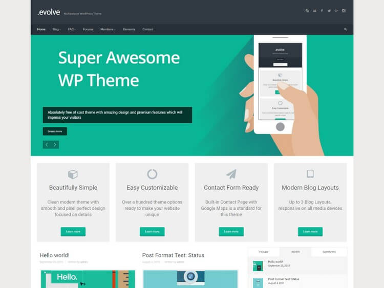 evolve is one of the few WordPress themes that are more website oriented.