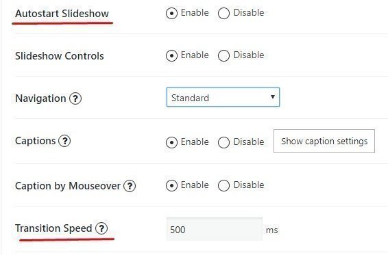 Learn About Different Types of Sliders - If in the admin panel near the button Autostart Slideshow one can choose Enable.