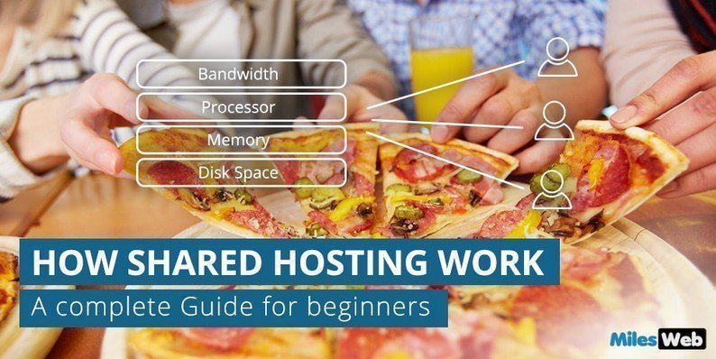 How Shared Hosting Work: A Complete Guide for Beginners